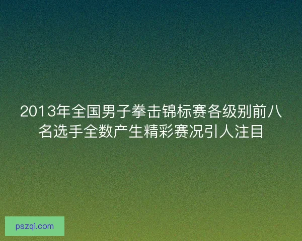 2013年全国男子拳击锦标赛各级别前八名选手全数产生精彩赛况引人注目