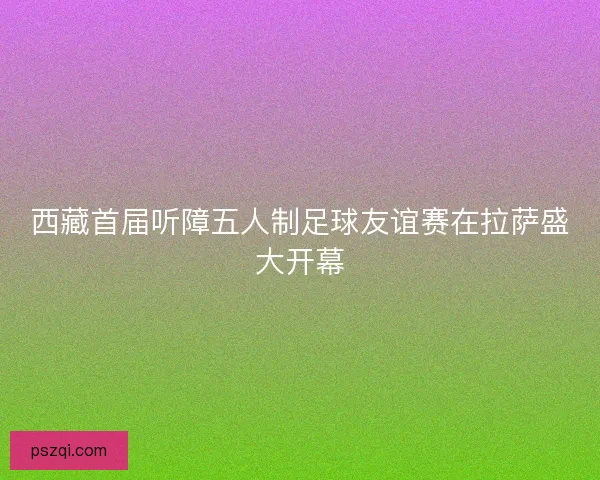 西藏首届听障五人制足球友谊赛在拉萨盛大开幕