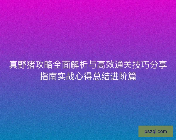 真野猪攻略全面解析与高效通关技巧分享指南实战心得总结进阶篇